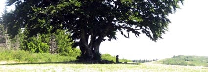 wie funktioniert Meditation